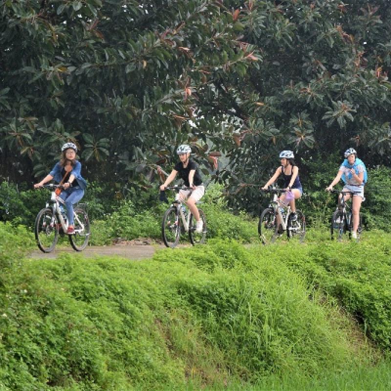 Half Day Hanoi City Bicycle Tour (Morning)