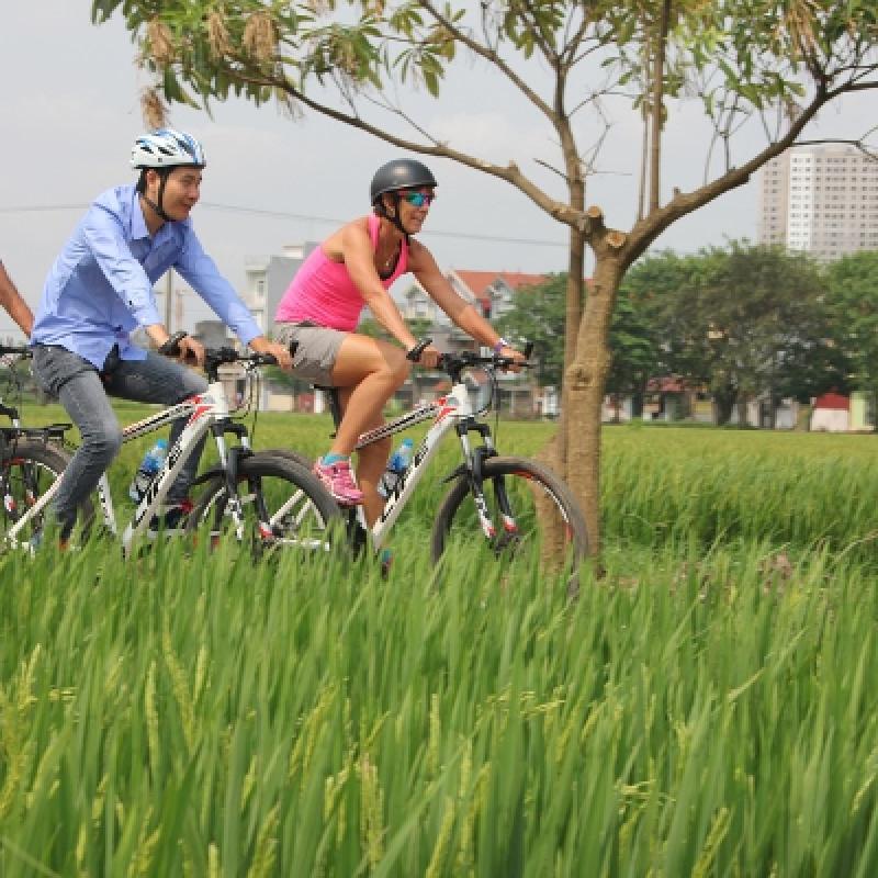 Half Day Afternoon Hanoi City Bicycle Tour