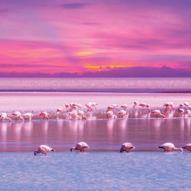 Chilean Wonders: Santiago, Atacama, and Uyuni Expedition - 12-Day Journey of Natural and Cultural Marvels