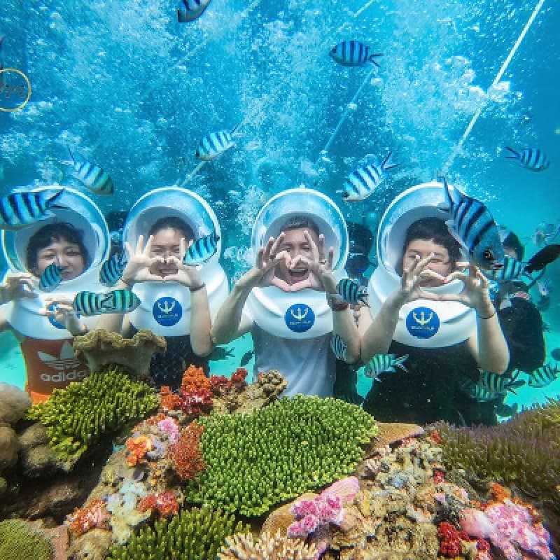 VIP Seawalker Phu Quoc Explore Coral Reefs and Marine Life Tour 3
