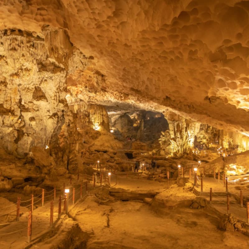 5-Star Luxury Ha Long Bay Day Cruise Sung Sot Cave Titop Island Buffet Lunch 4