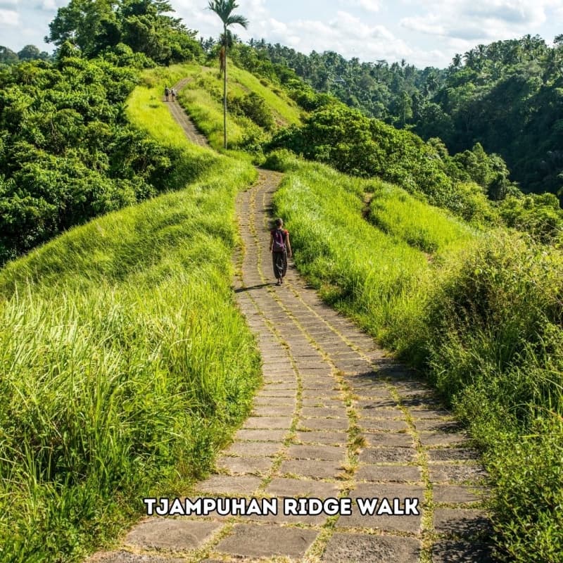 4 Days 3 Nights Bali Xtraordinary Tour Island Discovery Experience 3