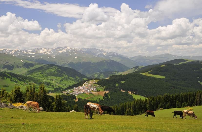 Mavigöl, Kumbet Tour from Trabzon 3