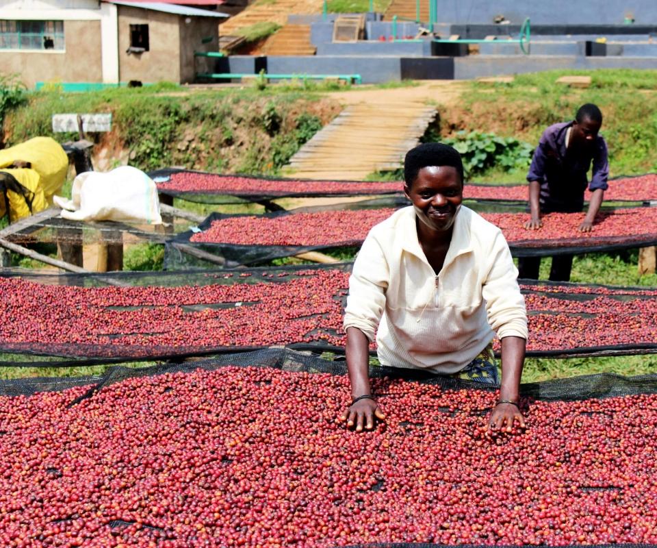 6-Day Jinja, Sipi and Kidepo Valley National Park Safari 6-Day Jinja, Sipi and Kidepo Valley National Park Safari