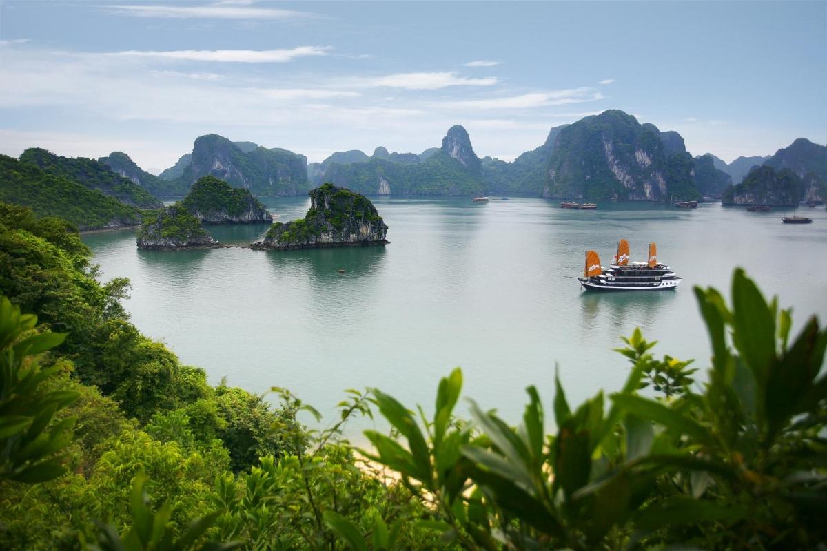 ONE DAY IN HALONG JOINING TOUR ONE DAY IN HALONG JOINING TOUR