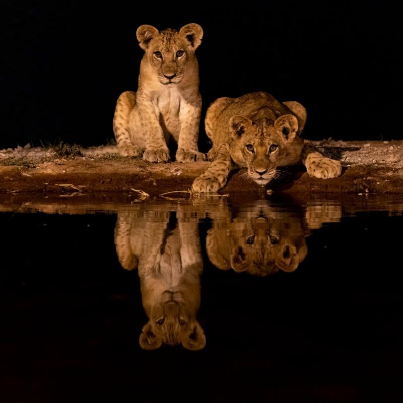 Magical Kenya Safari
