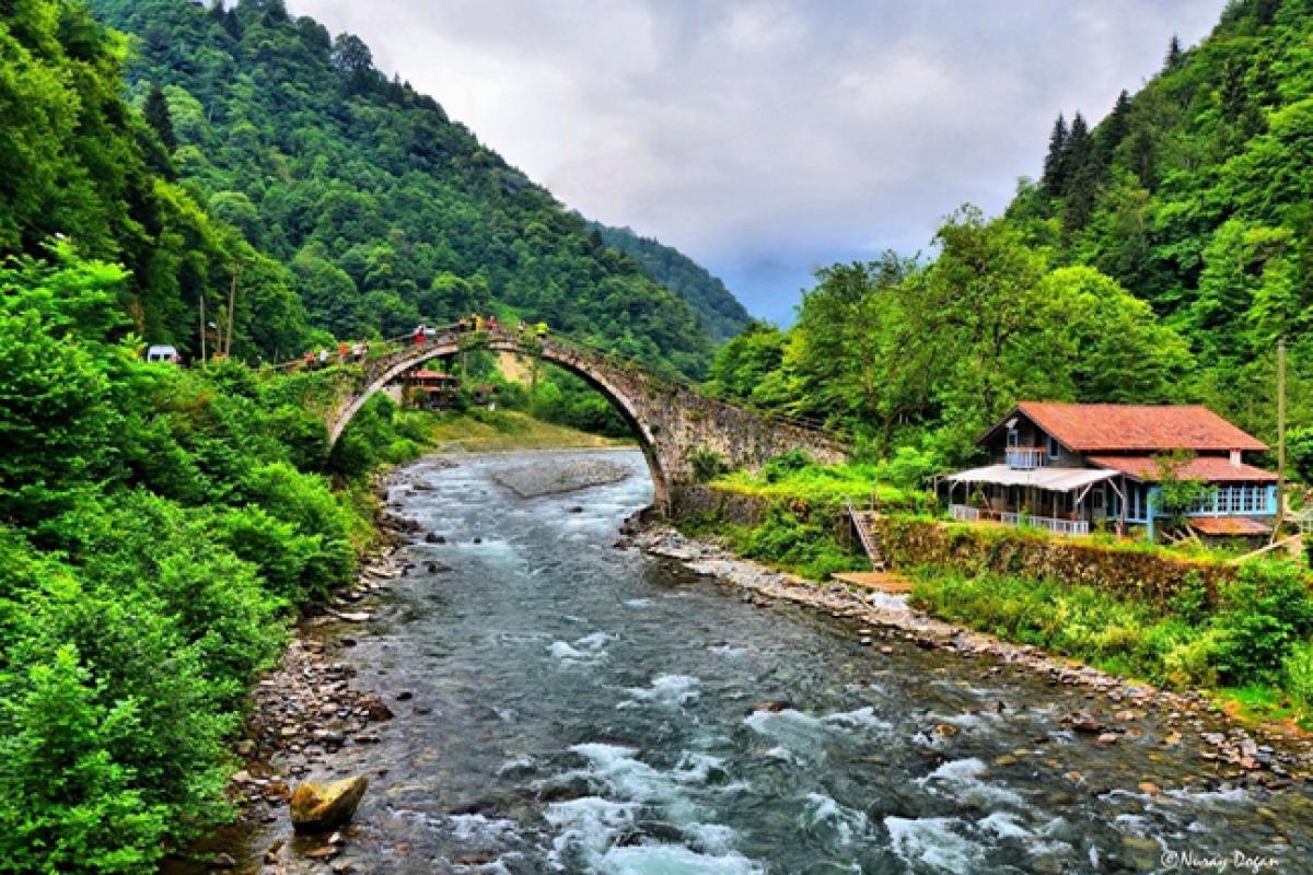 Ayder Escape: Waterfalls, Forests & Fresh Air