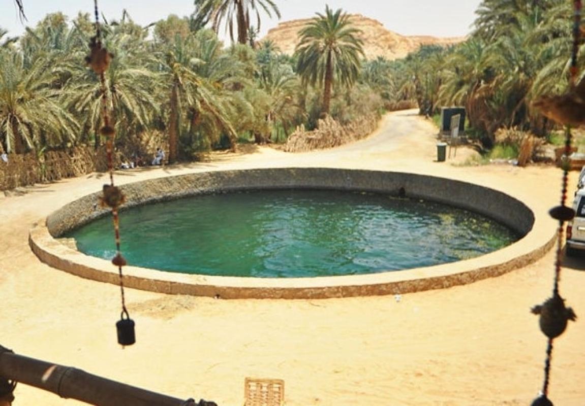 Private Grand Safari And Antiquities of Egypt (10 Days)