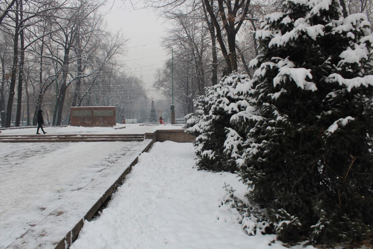 7 Days / 6 Nights Winter Adventure in Kyrgyzstan – Skiing, Yurts & Mountain Exploration