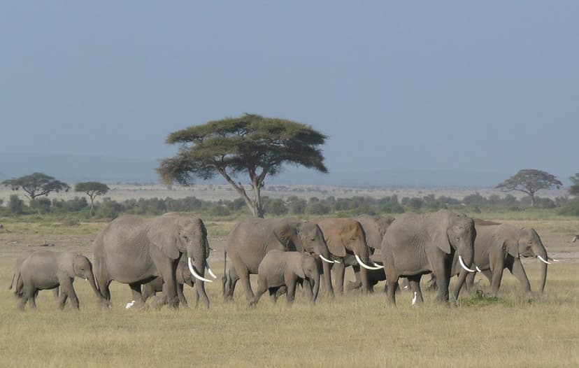 Day Trip to Ngorongoro Crater 2