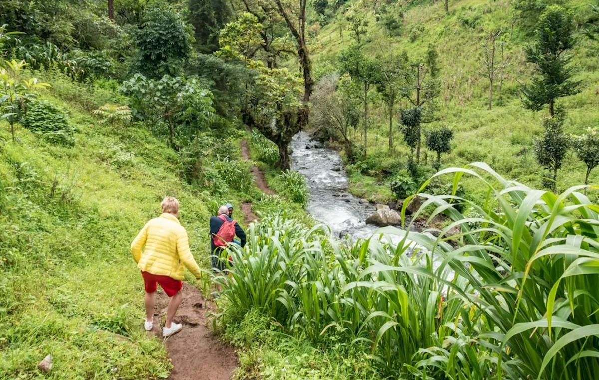 Day Tour to Materuni Waterfalls