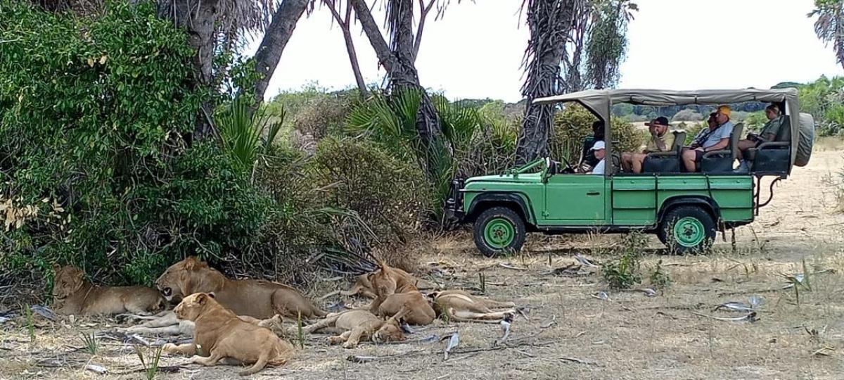 1-DAY PRIVATE SAFARI : ZANZIBAR TO NYERERE NATIONAL PARK BY FLIGHT 1-DAY PRIVATE SAFARI : ZANZIBAR TO NYERERE NATIONAL PARK BY FLIGHT