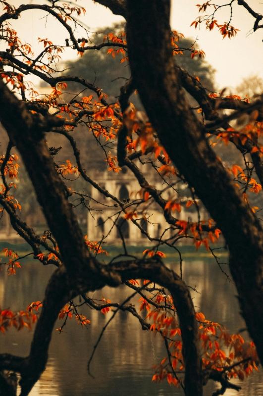ITA Travel - Vietnam 8D/7N : Glimpse of Vietnam - Tour from North to South