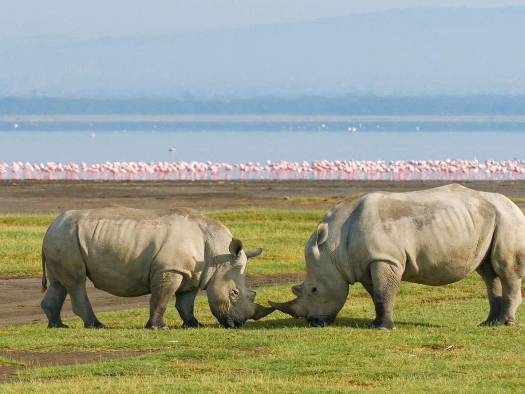 Marvels of Kenya Safari Tour Marvels of Kenya Safari Tour