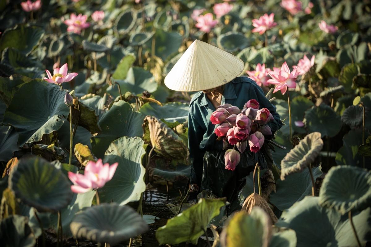 ITA Travel - Vietnam 12D/11N : Honeymoon in Vietnam