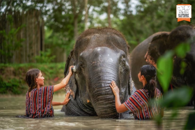 Elephant Jungle Sanctuary Phuket - Half day visit 2