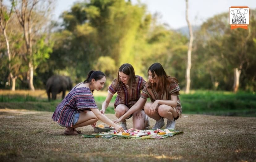 Elephant Jungle Sanctuary Chiang Mai - Watch Me Tour 4