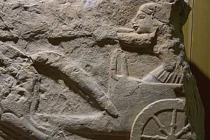 Milas Museum (2)
