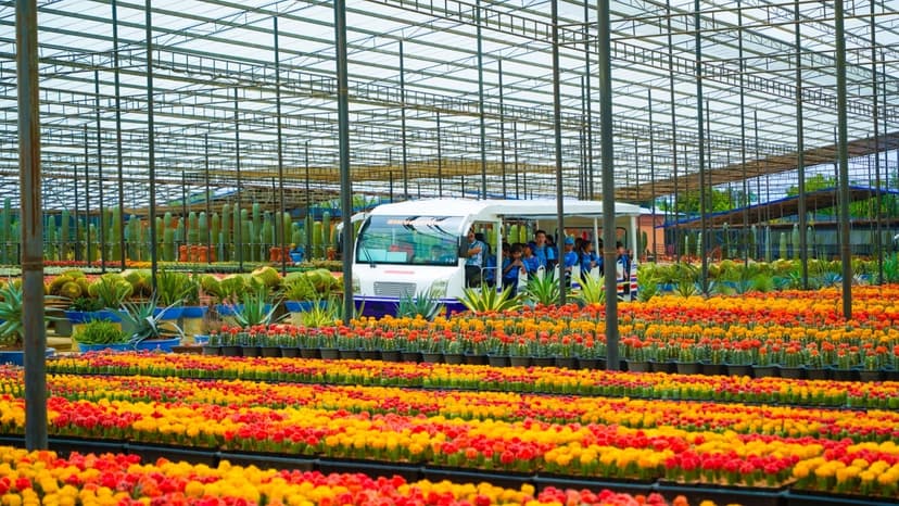 Nong Nooch Tropical Garden Pattaya (Admission fee + Sightseeing bus) 4