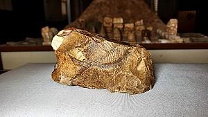 Adıyaman Museum Collections 2