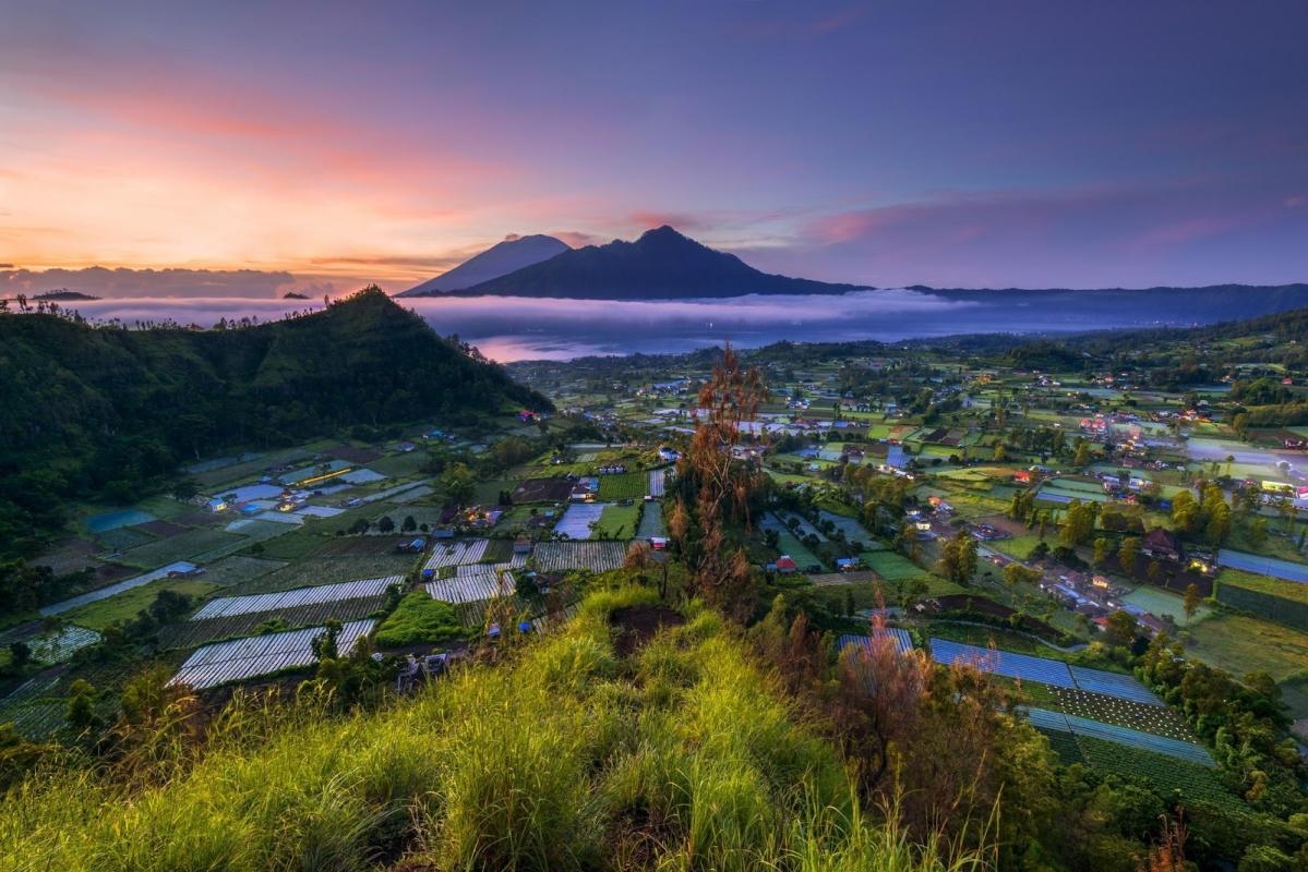 Bali Transport and Tour