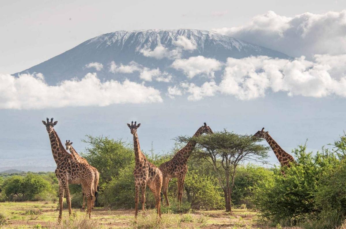 Kenya Bush & Beach Adventure Expedition