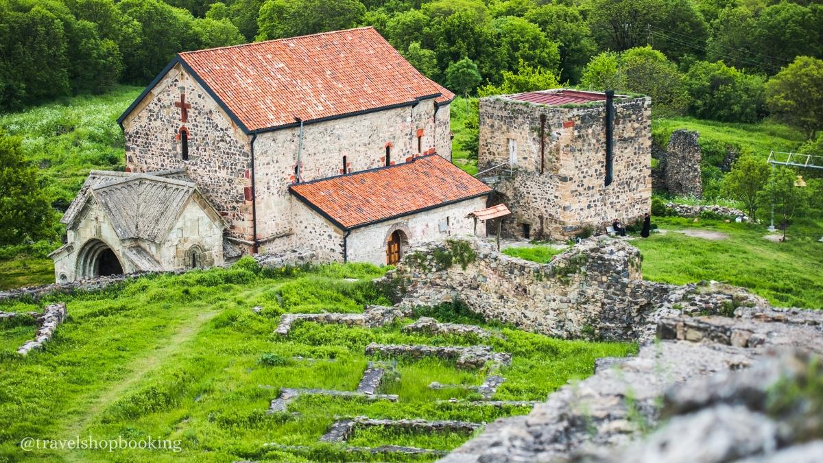 Dmanisi, Bolnisi & Tsugrugasheni Tour from Tbilisi – Ancient Archaeological Sites