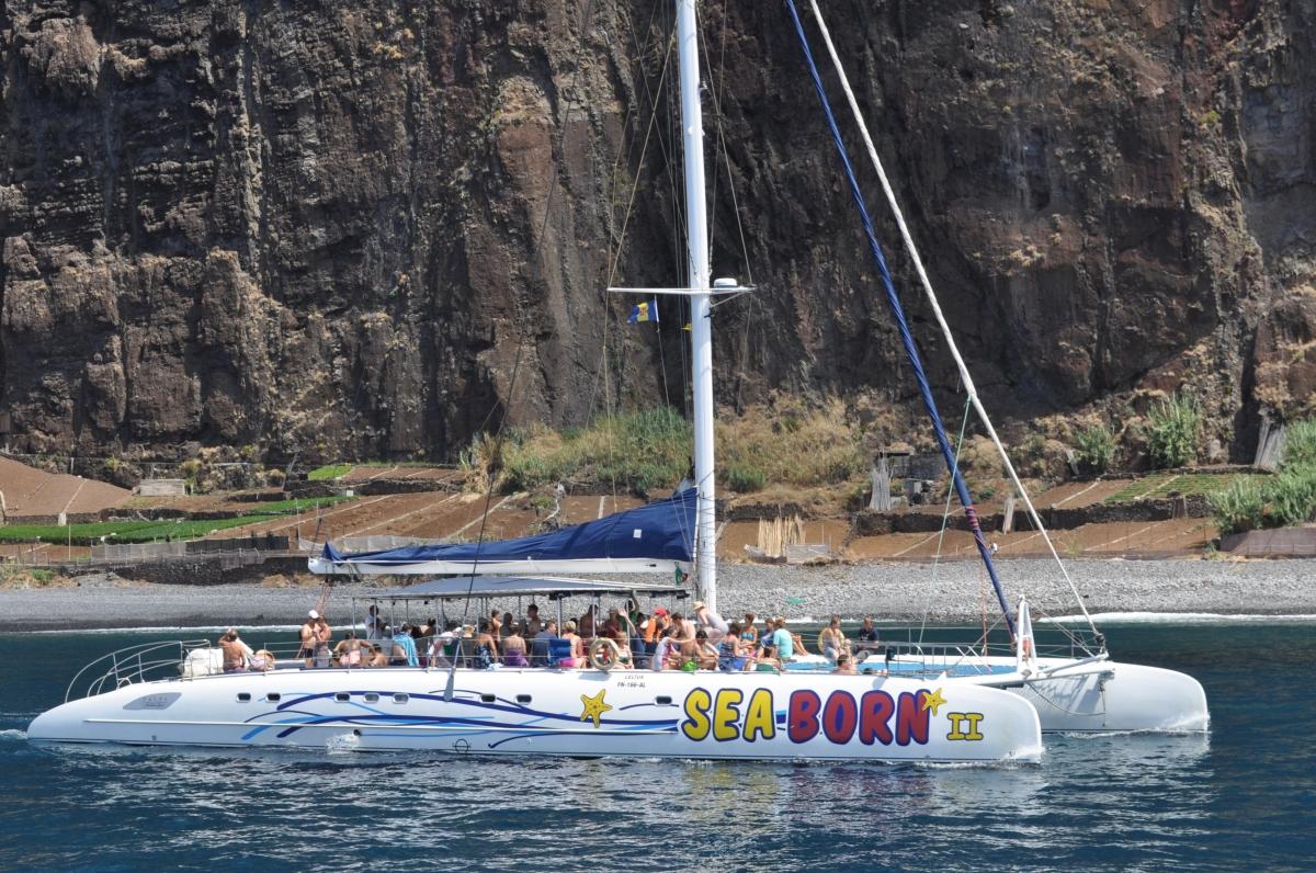Catamaran Cruise Sea Sailing Experience