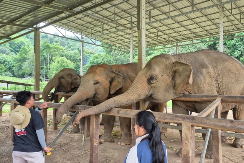 Discover Thailand: Culture, Nature & Island Escape (Bangkok-Chiang Mai-Phuket) 3