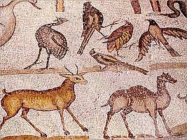 Adana Misis Mosaic Museum (2)