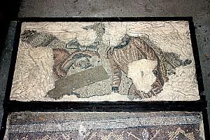 Adana Misis Mosaic Museum (1)