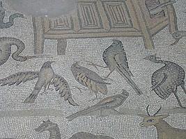 Adana Misis Mosaic Museum (6)