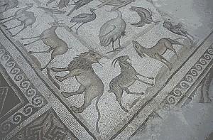 Adana Misis Mosaic Museum (10)