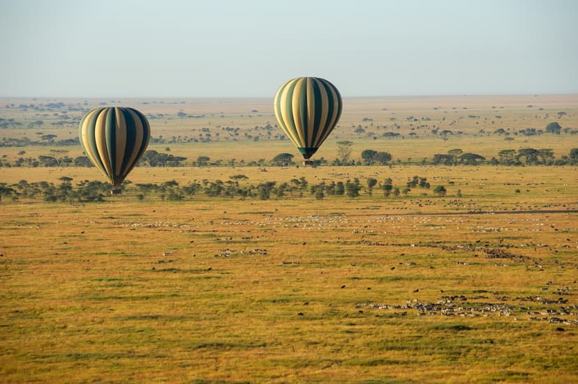 Seronera - Serengeti Balloon 4