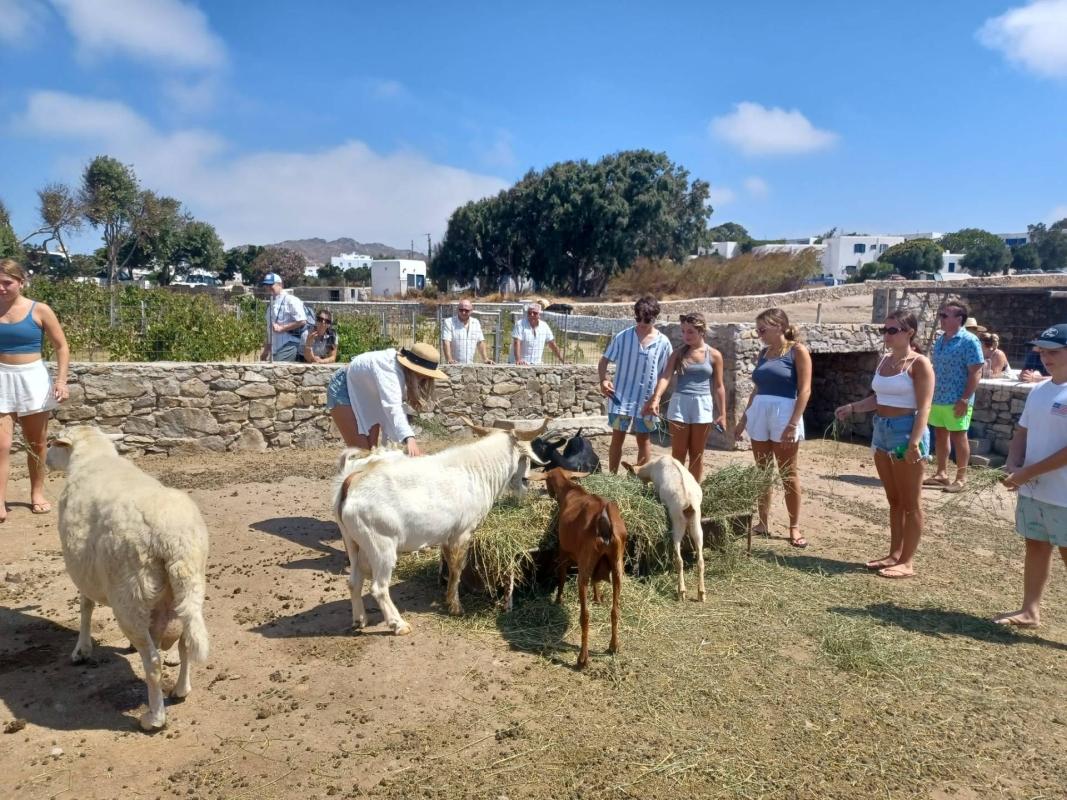 Mykonian Farm Entrance