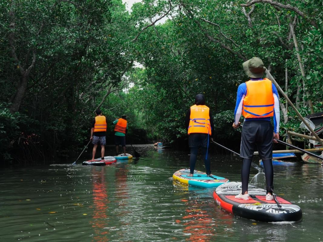 Bali Mangrove Forest Tour by Stand Up Paddle (SUP Mangrove Forest)