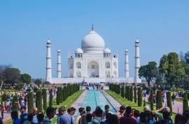 10 Days Rajasthan & Wildlife