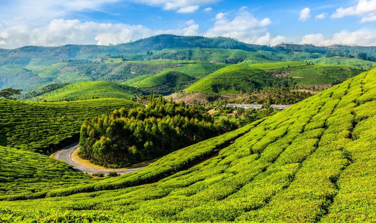 Kerala Nature & Coastal Delight