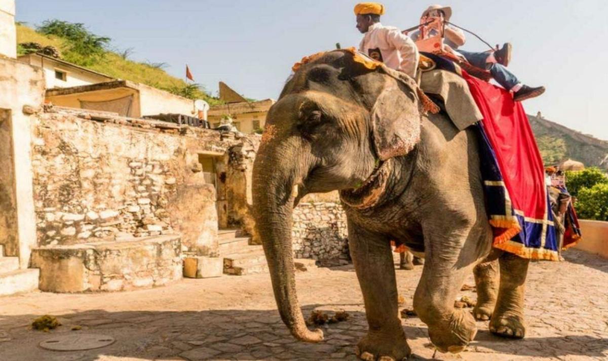 Luxury India Golden Triangle Tour
