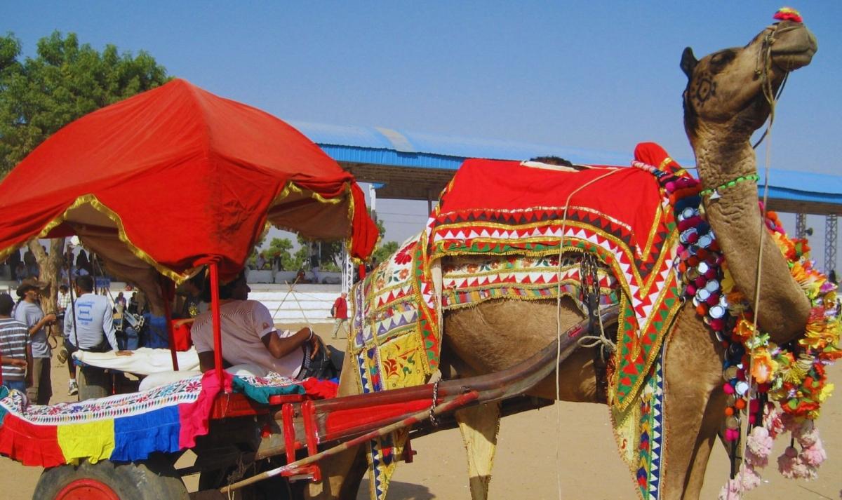 Golden Triangle Tour with Pushkar
