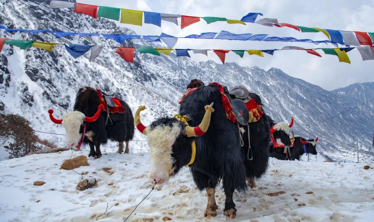 Splendors of the North East India