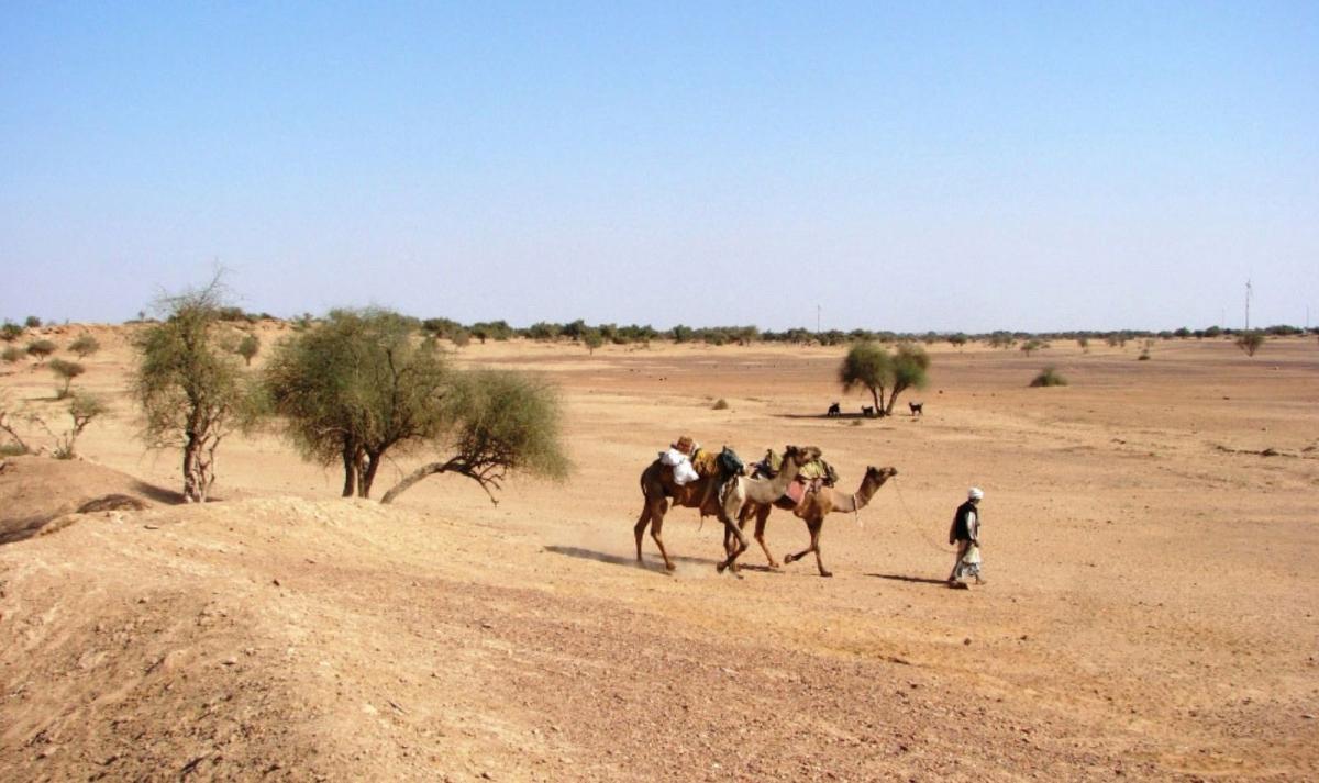 Rajasthan with Taj Mahal Tour