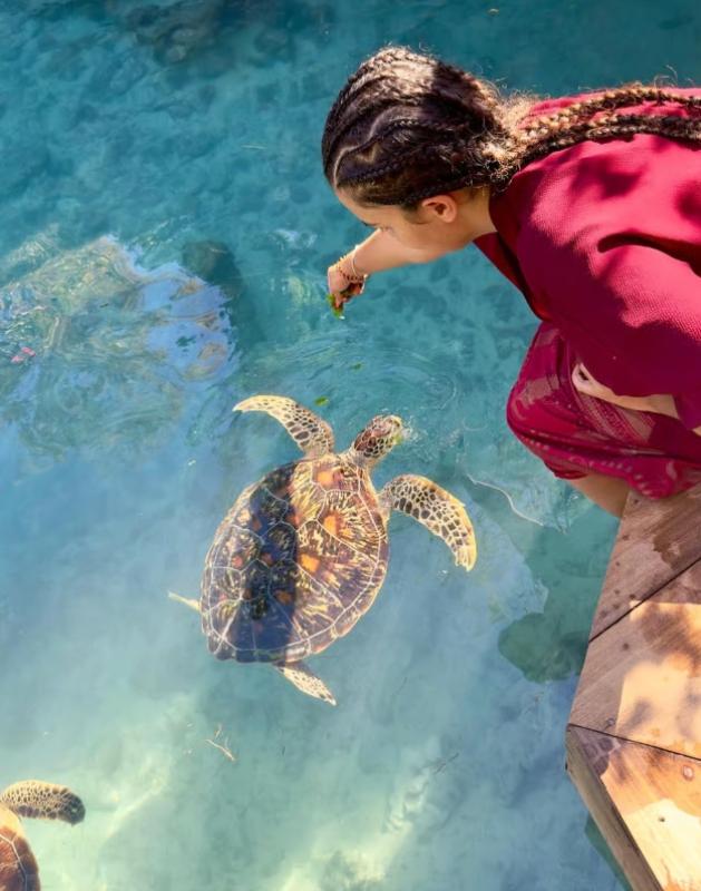 Zanzibar: Sea Turtle Swim at Kizimkazi Salaam Cave Tour