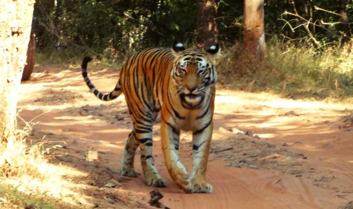 Rajasthan with Varanasi Tour