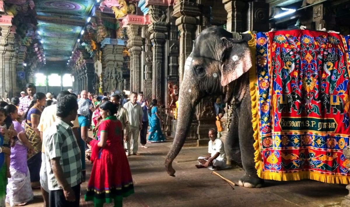 South India Uncovered