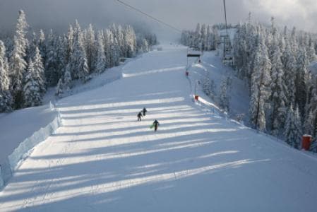 Ilgaz Mountain National Park