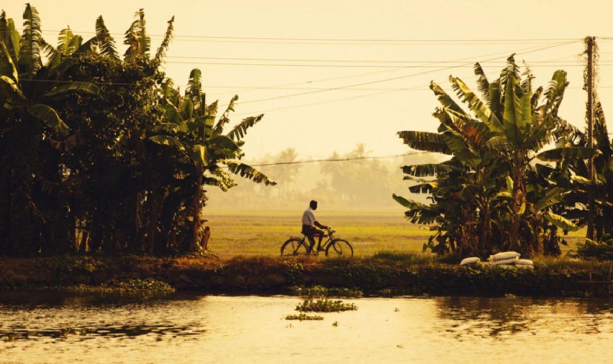 Best of South India Tour