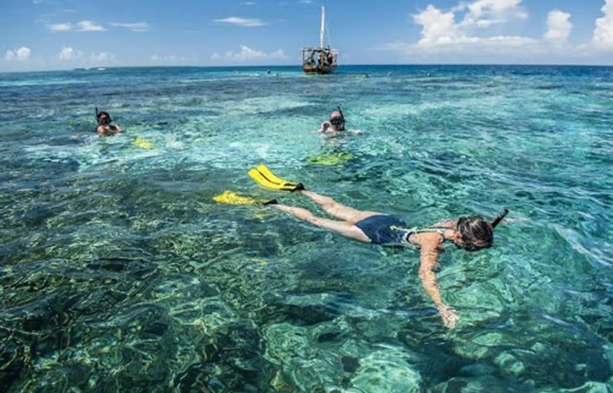 Zanzibar Half-Day Blue Lagoon Snorkeling Tour, blue adventure