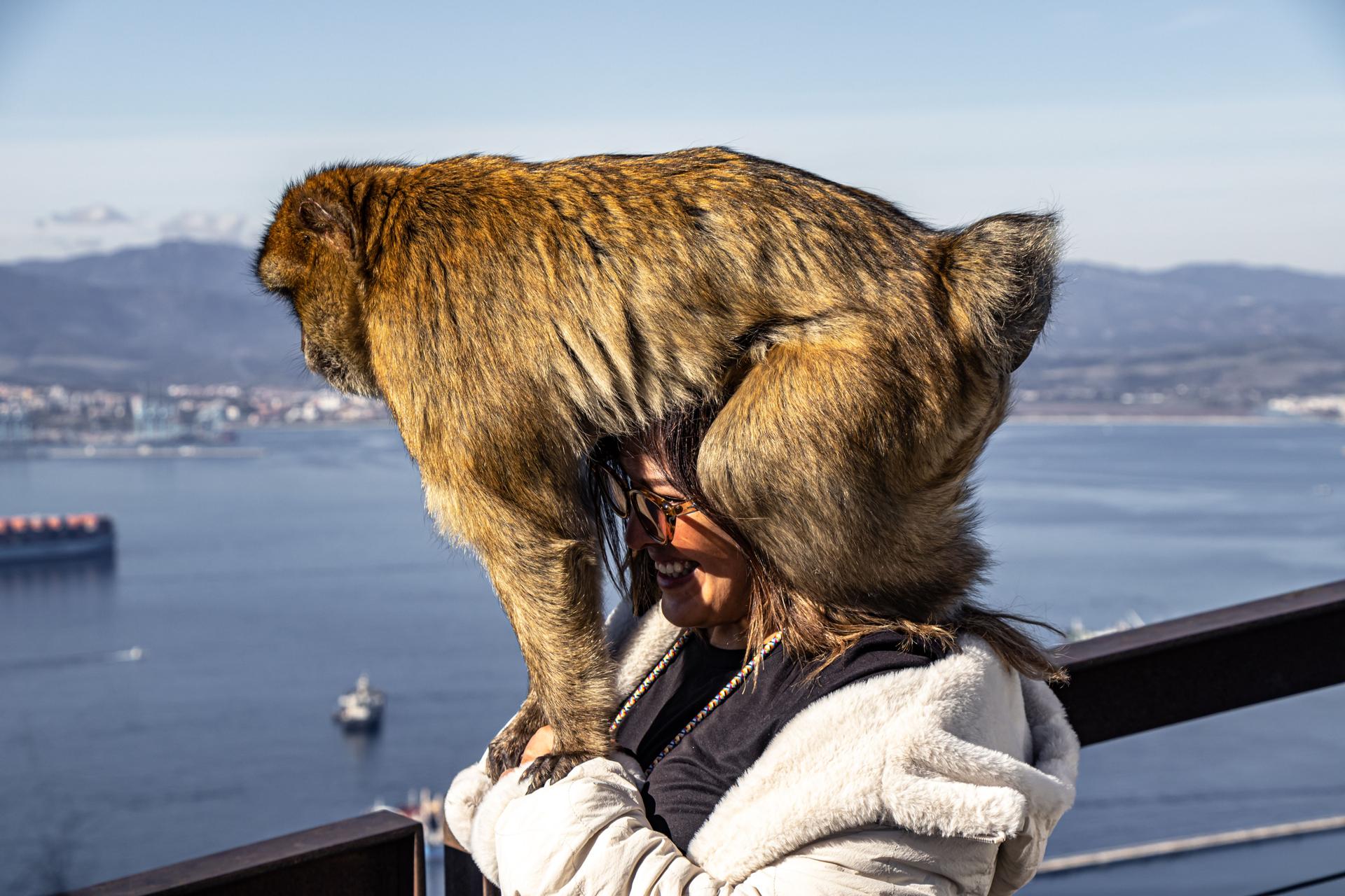Best Places to Visit in Gibraltar