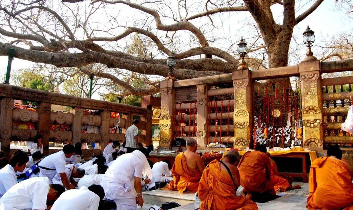 Northern & Eastern India Panorama with Buddhist Trail
